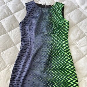 Eli Tahari dress